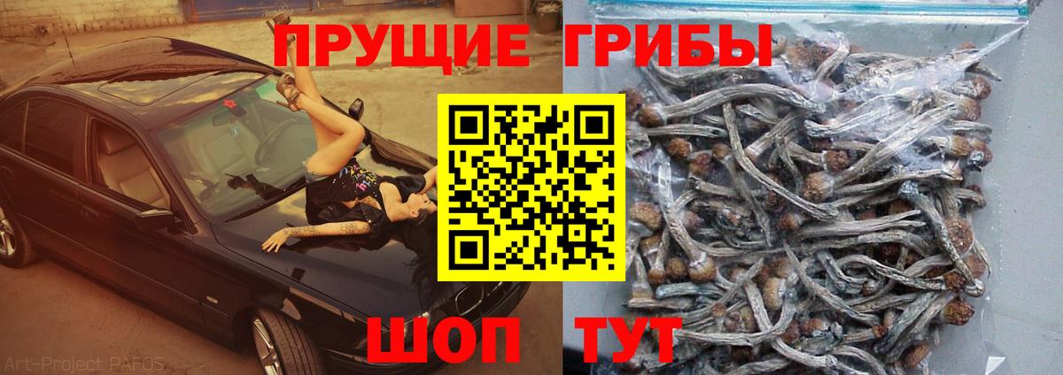 Галлюциногенные грибы ЛСД  Вход с VPN  магазин    Муром  Псилоцибиновые грибы MAGIC MUSHROOMS 